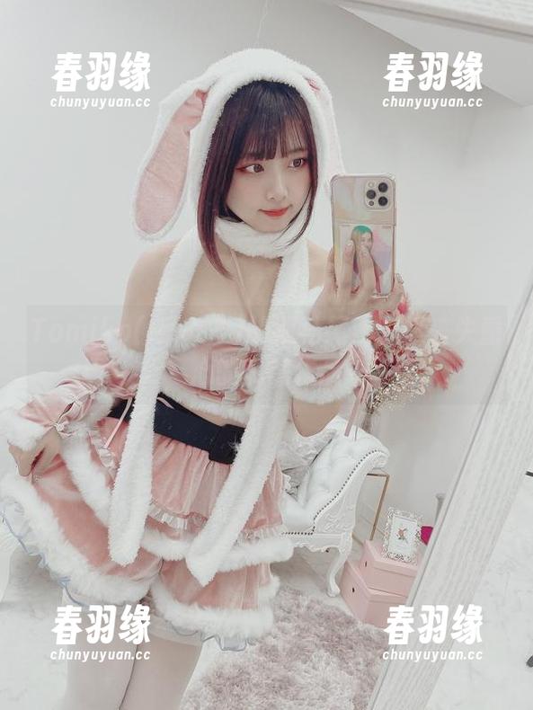 Tomiko(とみこ)的双马尾：一部丧失重心的私房作品