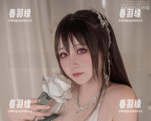 咔喵制服精选，余韵缭绕，恍若煦暖的风吹过