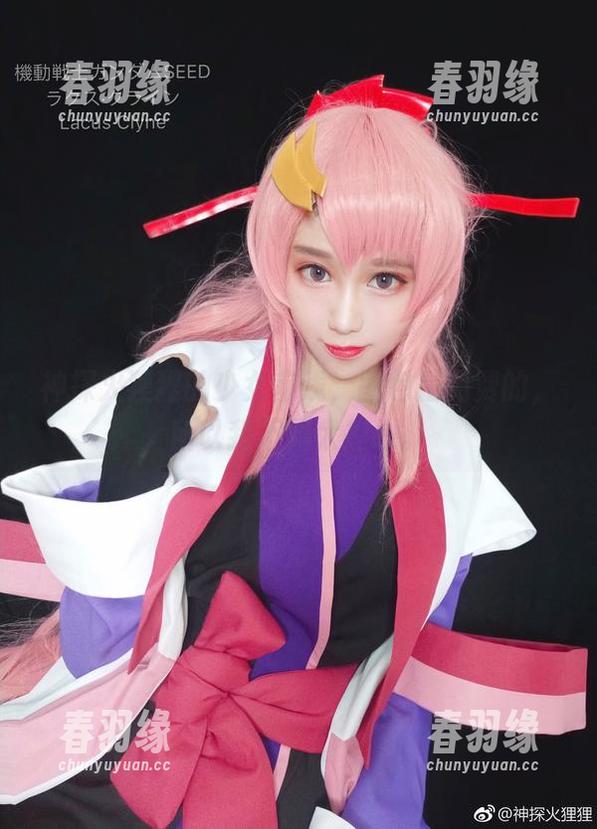神探火狸狸的少女前线，图包是免费的，所以我不用太担心。
